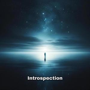 Introspection (Explicit)