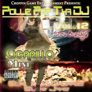 Cigarillo Mini, Vol. 12: Slow Burning