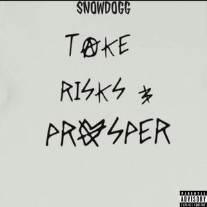 Take Risk & Prosper (Explicit)