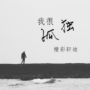 迷人的危险 (电摇轩迪版)