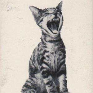 Twentyball (Explicit)