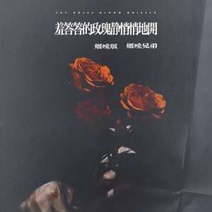 羞答答的玫瑰静悄悄地开 (烟嗓版)