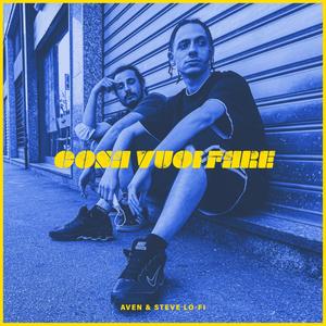 Cosa Vuoi Fare(feat. Steve Lo-Fi) (Explicit)