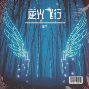 银河超速心跳 (伴奏)