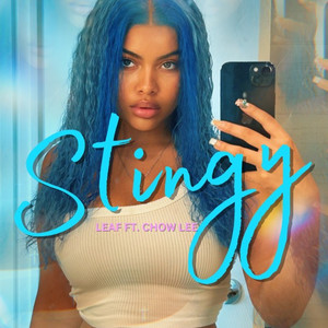 Stingy (feat. Chow Lee) (Explicit)
