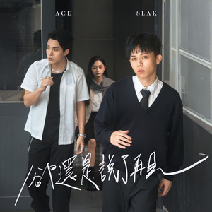 却还是说了再见 (feat. Ace)