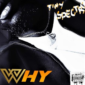 WHY (Explicit)