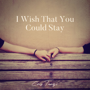 I Wish That You Could Stay