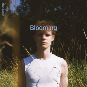 Blooming