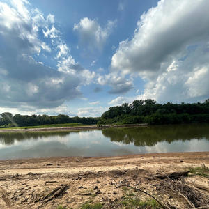 Feedback (feat. SSG JB) (Explicit)