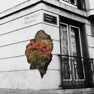 M3tro!d(feat. FLAMY) (Explicit)