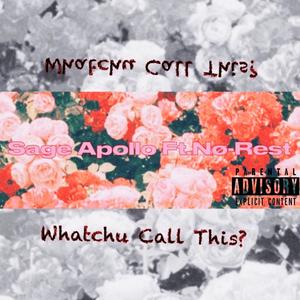 Whatchu Call This? (feat. Nø-Rest) (Explicit)