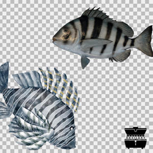 facemoved (Explicit)