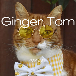 Ginger Tom