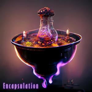 Encapsulation