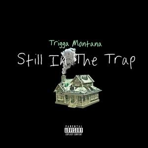 Still In The Trap (Explicit)