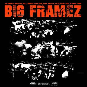 BIG FRAMEZ (feat. Madd Blu, 2FLY, Anghell yeah yeah, AZAA, SADISTA, Tyler, Caine Conway, Doze & Biggie Thugg) (Explicit)