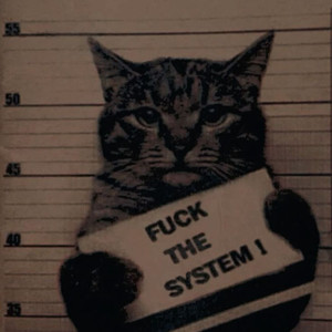 **** It