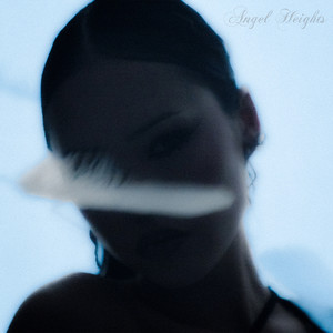 galleries (Explicit)