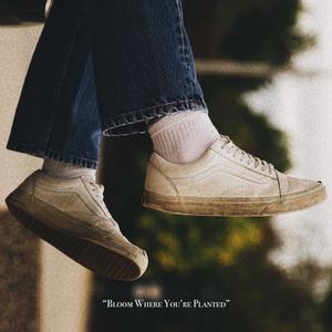 Bloom Where You're Planted