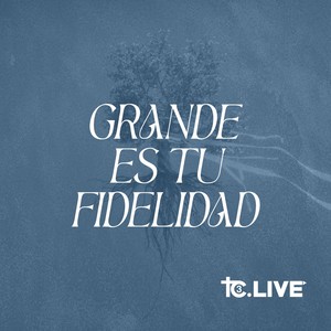 Grande Es Tu Fidelidad (feat. Katie Scruggs)