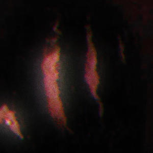 Romantic Poison (Explicit)