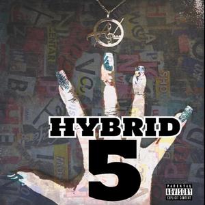 Hybrid 5 (Explicit)