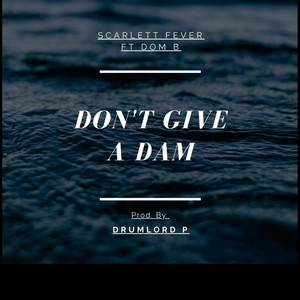 Don't Give a Dam (feat. Dom B) (Explicit)