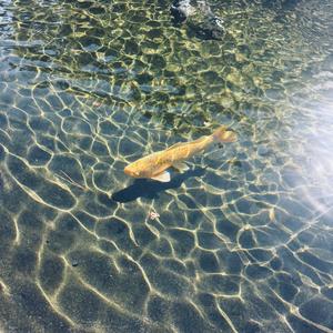 Open (feat. NOCONTXT) (Explicit)