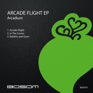 Arcade Flight