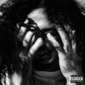 Nezzy - Journal Entry (Explicit)