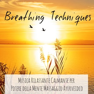 Breathing Techniques - Musica Rilassante Calmante per Potere della Mente Massaggio Ayurveidco con Suoni New Age Benessere Strumentali