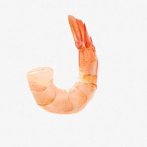 【Light】Joakim Carley Feat. Reece Lemonius Warrior(Still a Fighter) (解知非 remix)