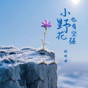 小野花也有坚强