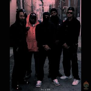 You a Hoe (Explicit)