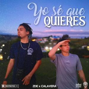 YO SE QUE QUIERES (Explicit)