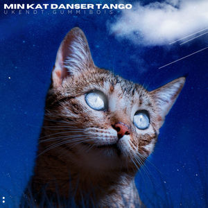 Min kat danser tango