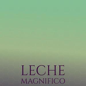 Leche Magnifico