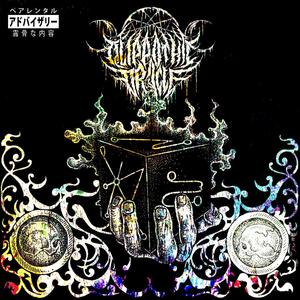 Quark Distrotion (feat. Arkanjylle) (Explicit)