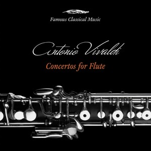 Flute Concerto in G Major, Op. 10 No. 6, RV 437 - II. Andante