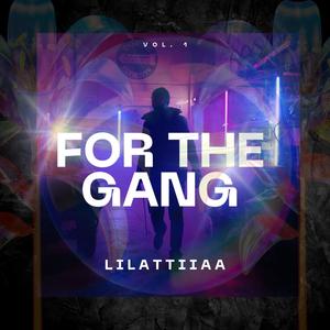 For The Gang (Explicit)