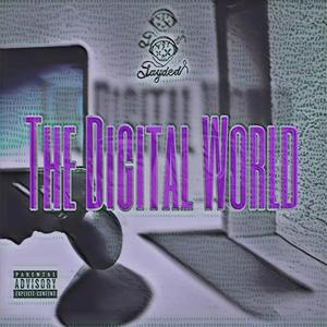The Digital World (Explicit)