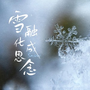 雪融化成思念