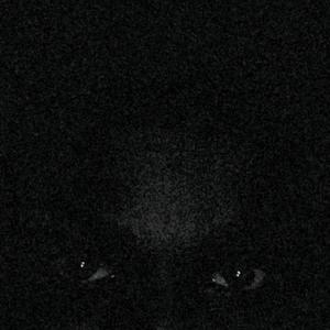 Swami (feat. Kukki & Abhi Shakti) (Explicit)