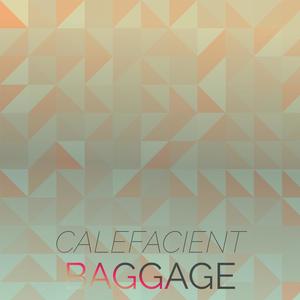 Calefacient Baggage