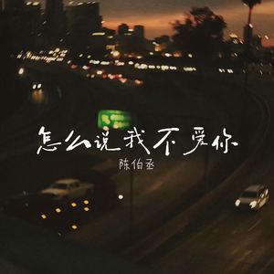 怎么说我不爱你