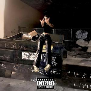 Turn Up The Bass (Explicit)