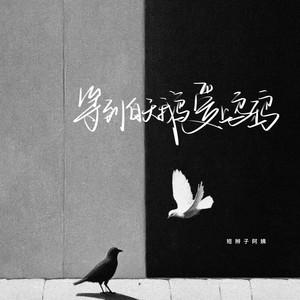 短辫子阿姨 - 等到白天鹅爱上乌鸦