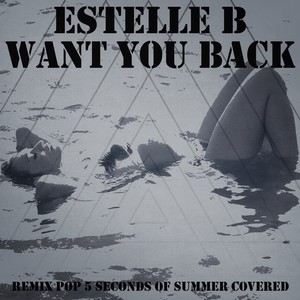 Want You Back (Remix Pop 5 Seconds Of Summer Covered)