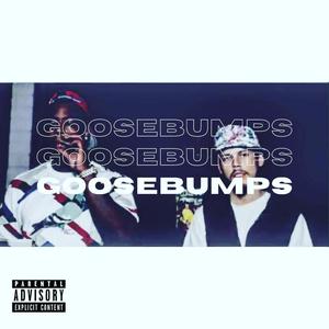 Goosebumps(feat. Head Honcho) (Explicit)